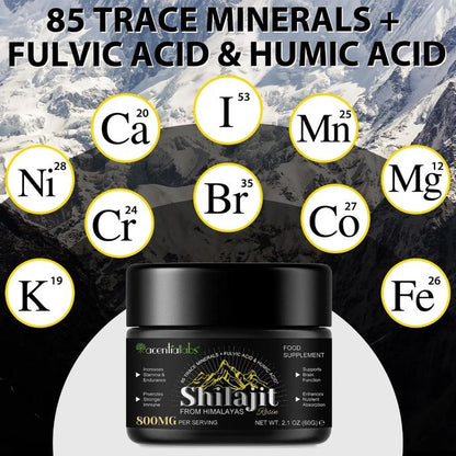 Résine Shilajit de l'Himalaya
