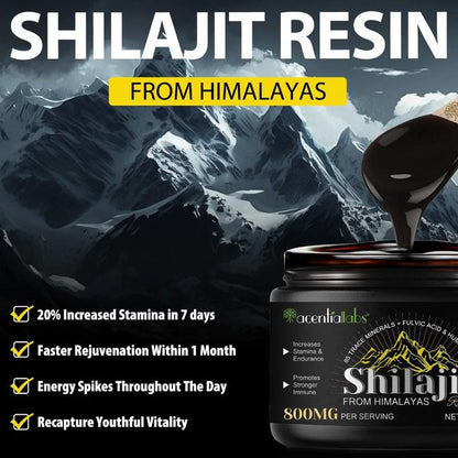 Résine Shilajit de l'Himalaya